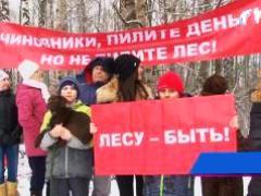 Жители поселка Малое Кузьмино протестуют против застройки рощи